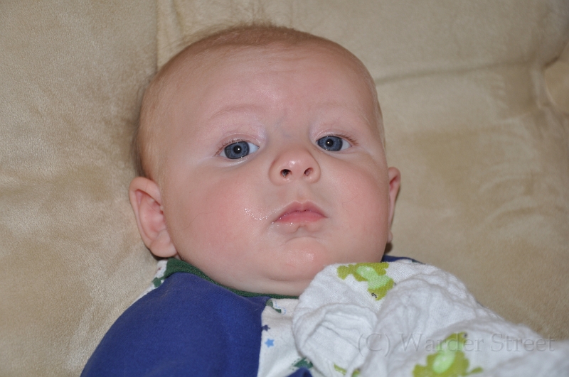 William's Fourteenth Week 09.jpg